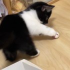 ╱↗┖旧メ时光╰