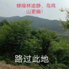 狂飙