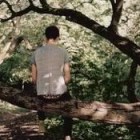 最后的一份眷恋