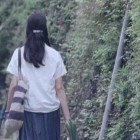 落叶飘