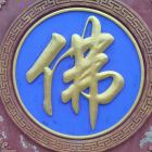 秋天的叶子