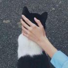 、卟卟