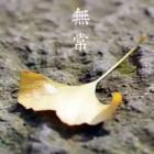 眸回的瞬间