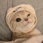 墨冉惜