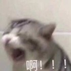 莲藕
