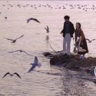 秋风落叶