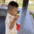 阳光下的星星