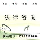 雨中新叶