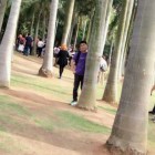 暗里着迷