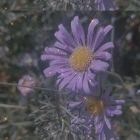 誰許誰①丗芳譁^