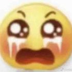 左眼繁华，右眼落