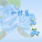 荭玥