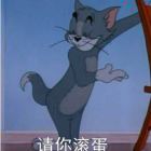 呆子砚砚