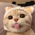      吴邪