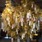 花落丶莫相弃