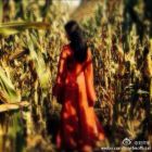 无心