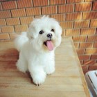 时光依旧我心依在