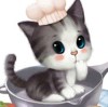 大脸猫