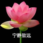 你生活在别人的眼神里，就迷失在自己的心路上