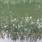 ╰︶雨悸,落花无比的美゛