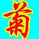 温室菊