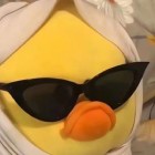 5225