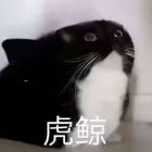 雪莲296871