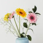 陌上看花