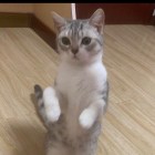 海风