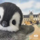 孤城❦殇