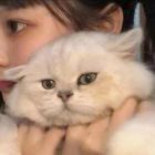 绯伤凉薄人落笔映惆怅丶