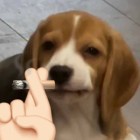 君子☆长戚戚