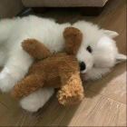  心是半个坍塌的天 #
