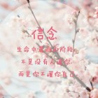 贫驴儿