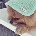 魑舞♀＿霓裳