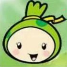 和风系语