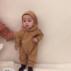 顾鲤默