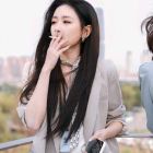 ＆梦幻~蝴蝶