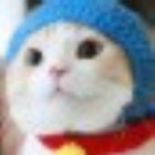 眸子