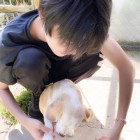 熙熙