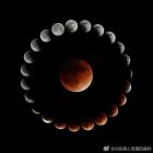 涅槃之心