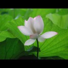 路标@回家
