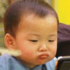 傻小羊。