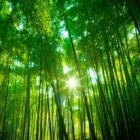 九言风轩
