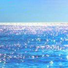Shine_Hazi