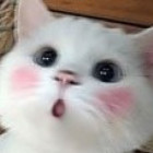 妖精