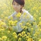 潇湘竹韵