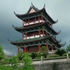 叶。菩提