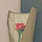 ゞ吥③吥④の格调叫②℡