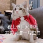 ◇◆▁璃椛殇